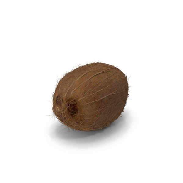 Coconut PNG Image HD