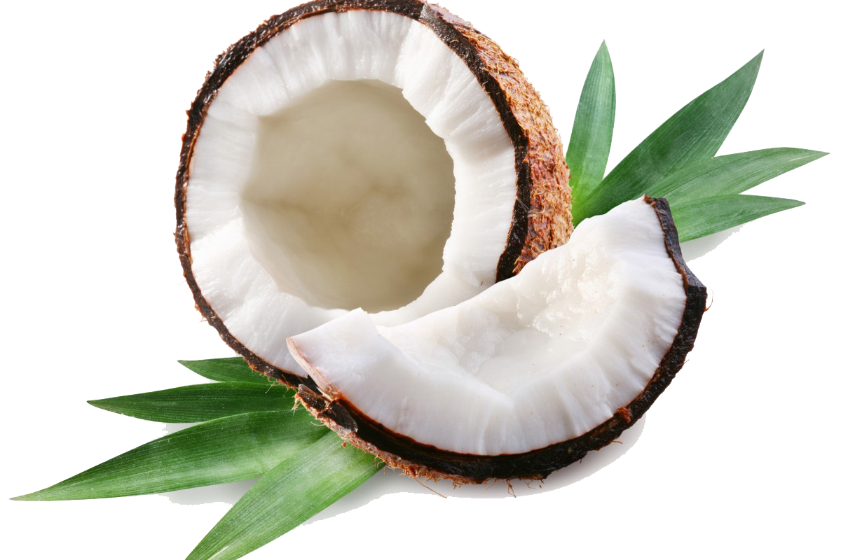Coconut PNG Transparent File