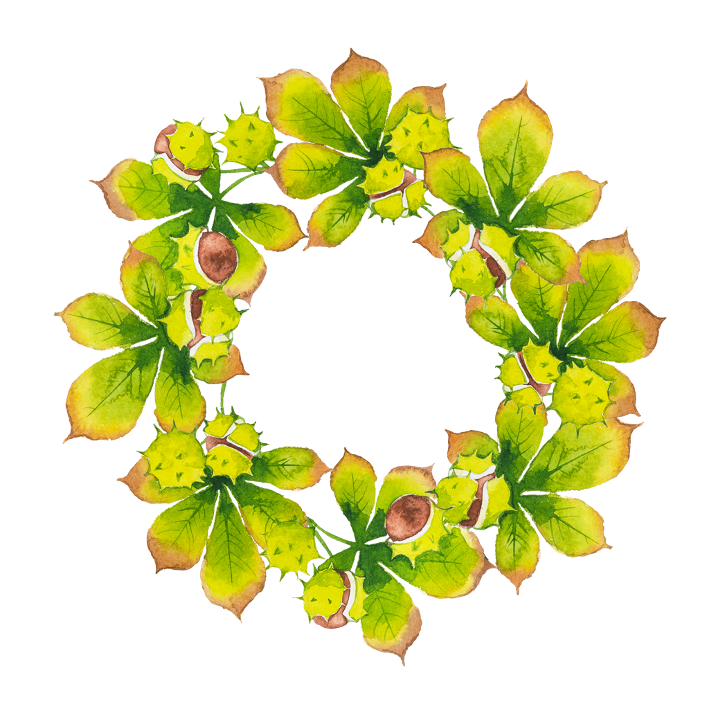 Decorative Leaf PNG Transparent