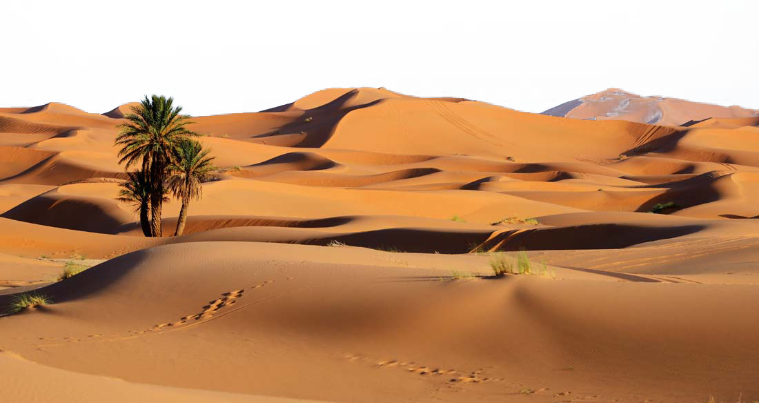 Desert PNG Background Photo
