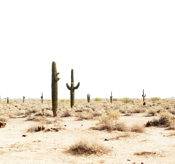 Desert PNG Transparent Image
