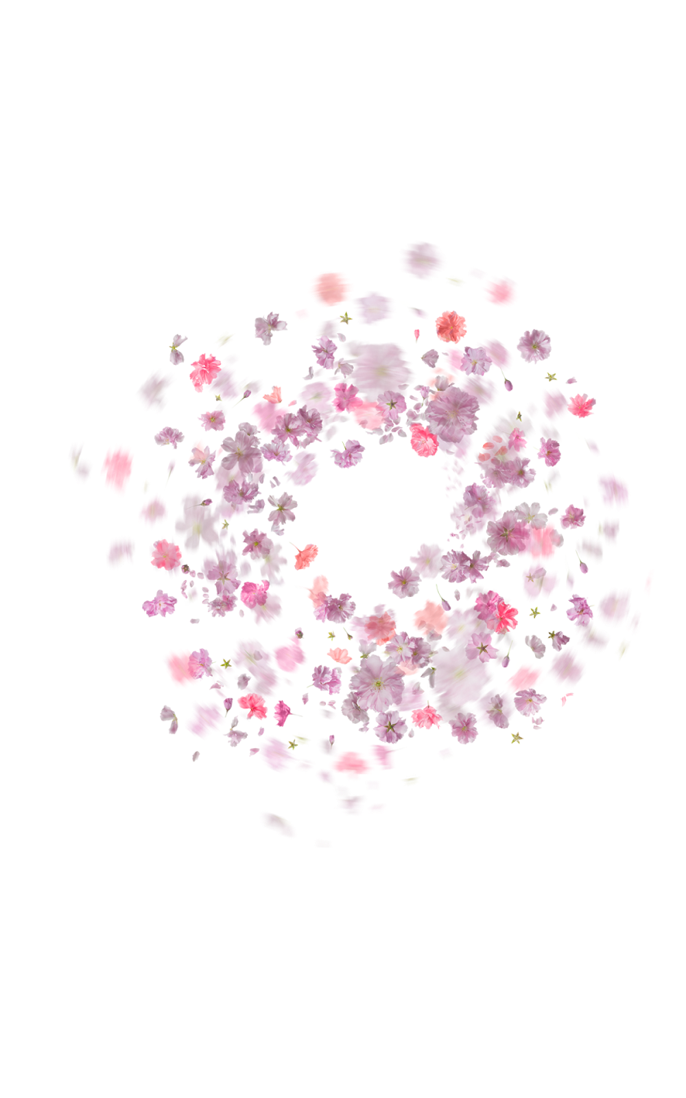 Fallende Rosenblätter PNG-transparentes Bild
