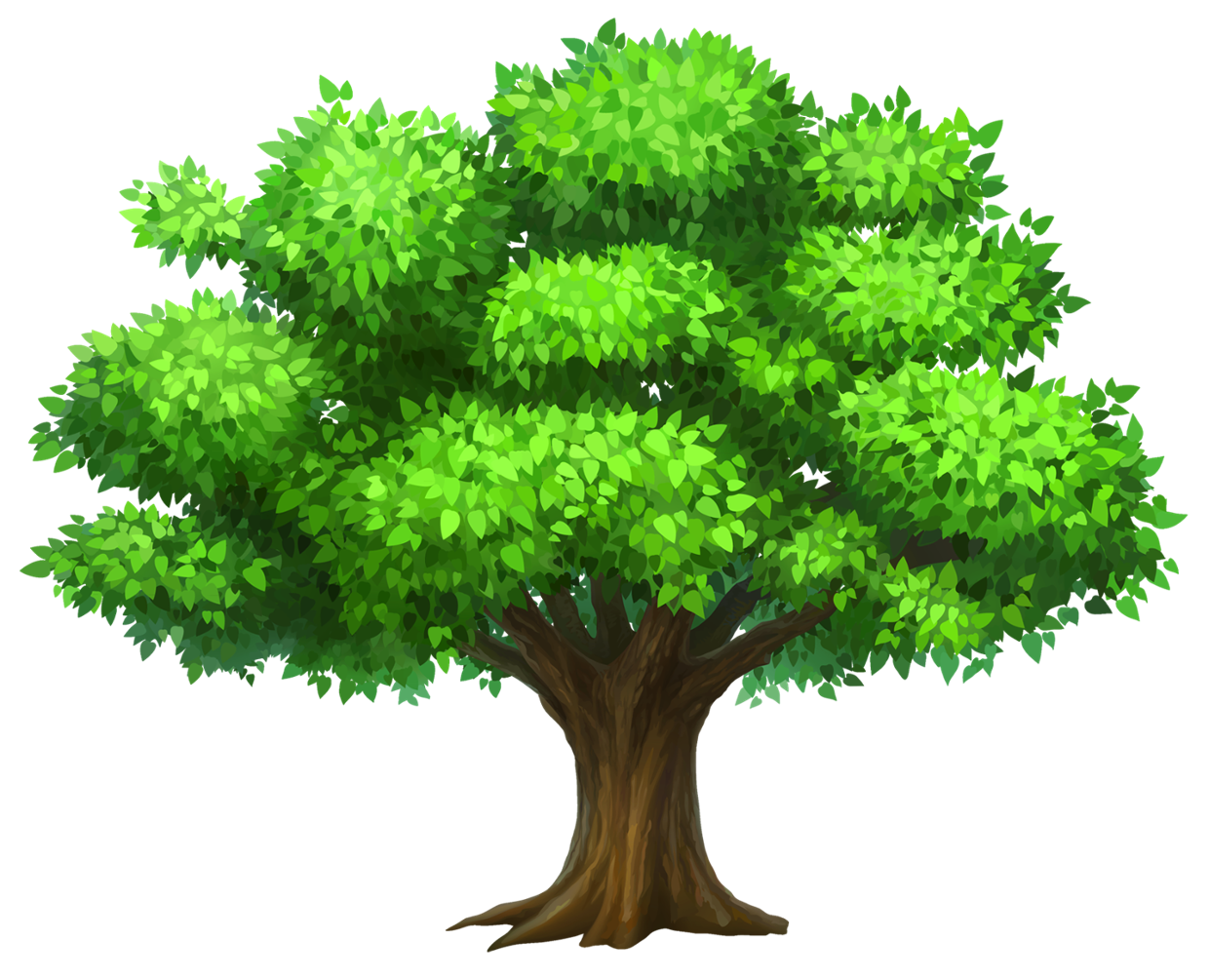 Family Tree Download PNG Image
