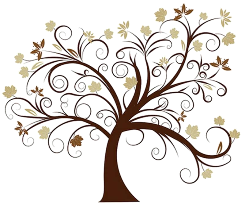 Family Tree PNG HD