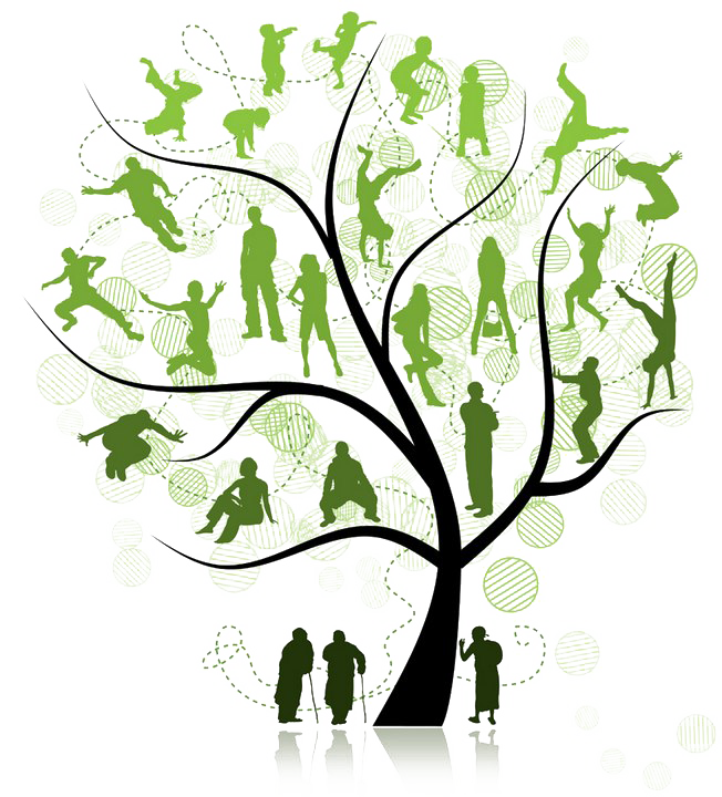 Family Tree PNG Pic