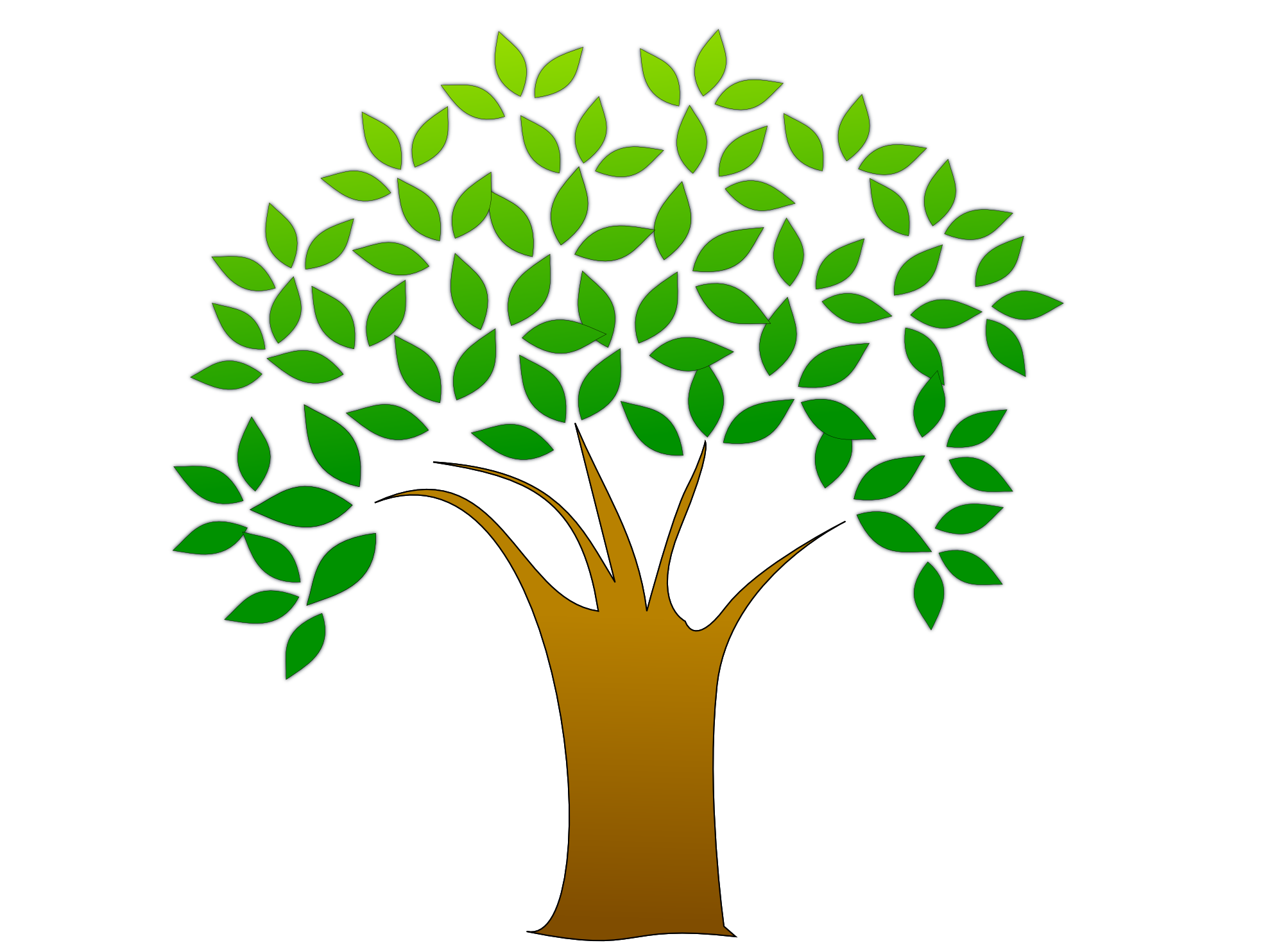 شجرة العائلة PNG صورة شفافة