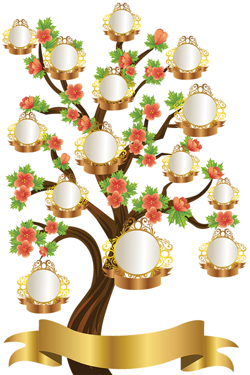 Family Tree PNG Transparent
