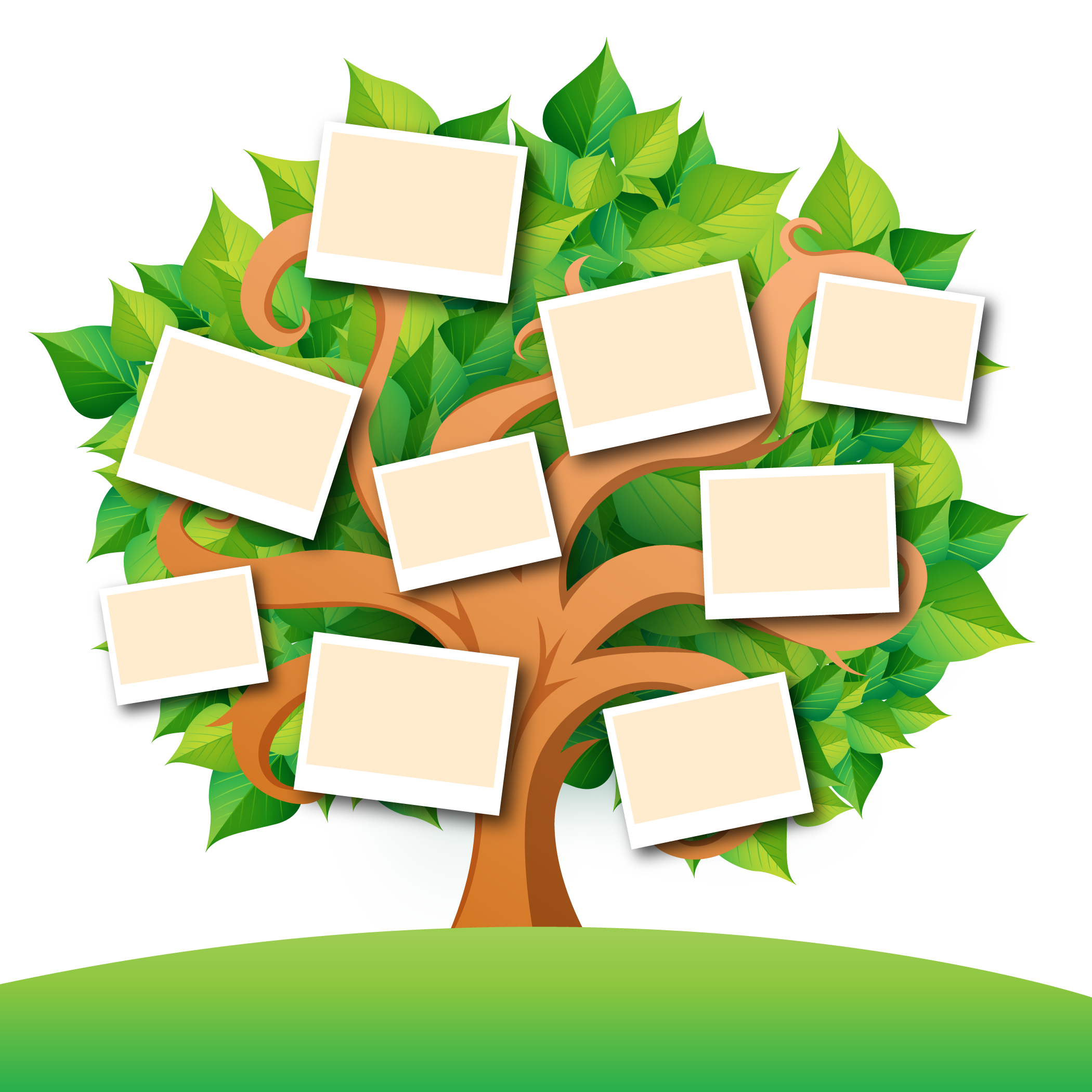 Family Tree Transparent Images PNG | PNG Mart