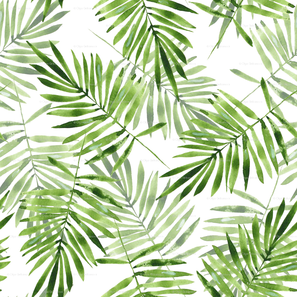 Grüne Palmblätter PNG transparent