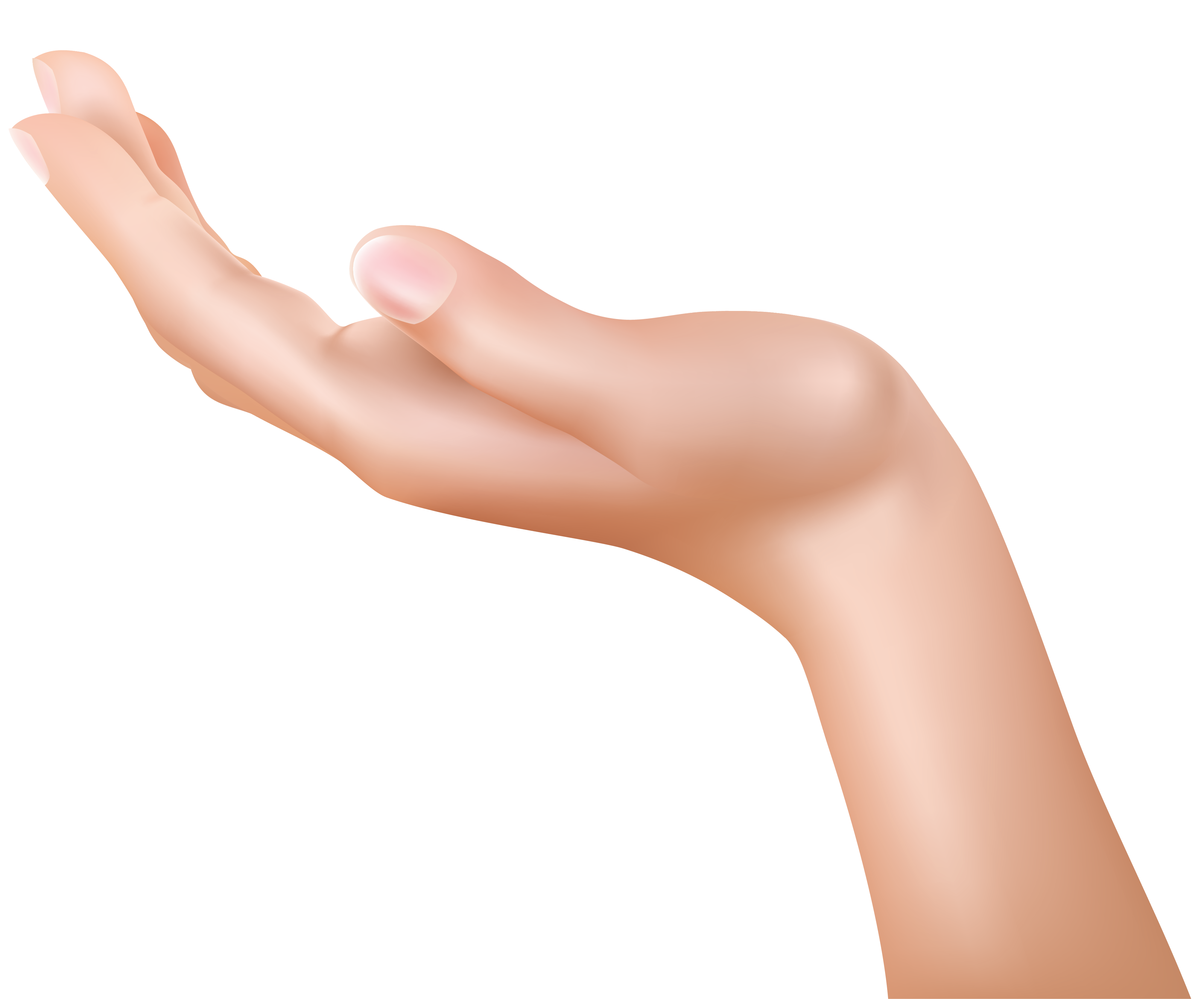 Hand PNG HD Quality