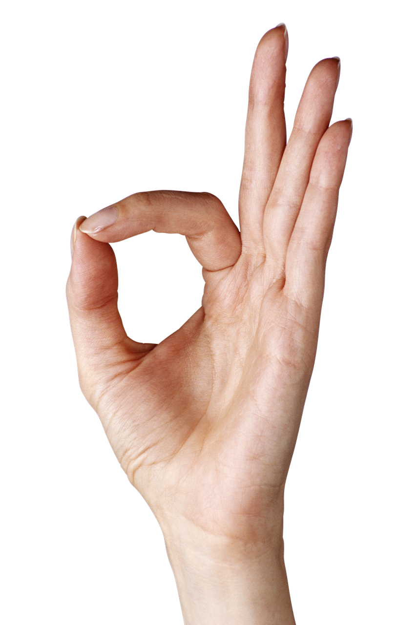 Hand PNG Transparent
