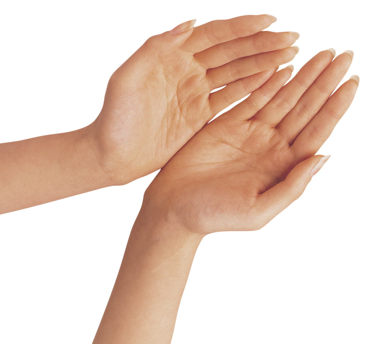 Hand PNG Transparent Background