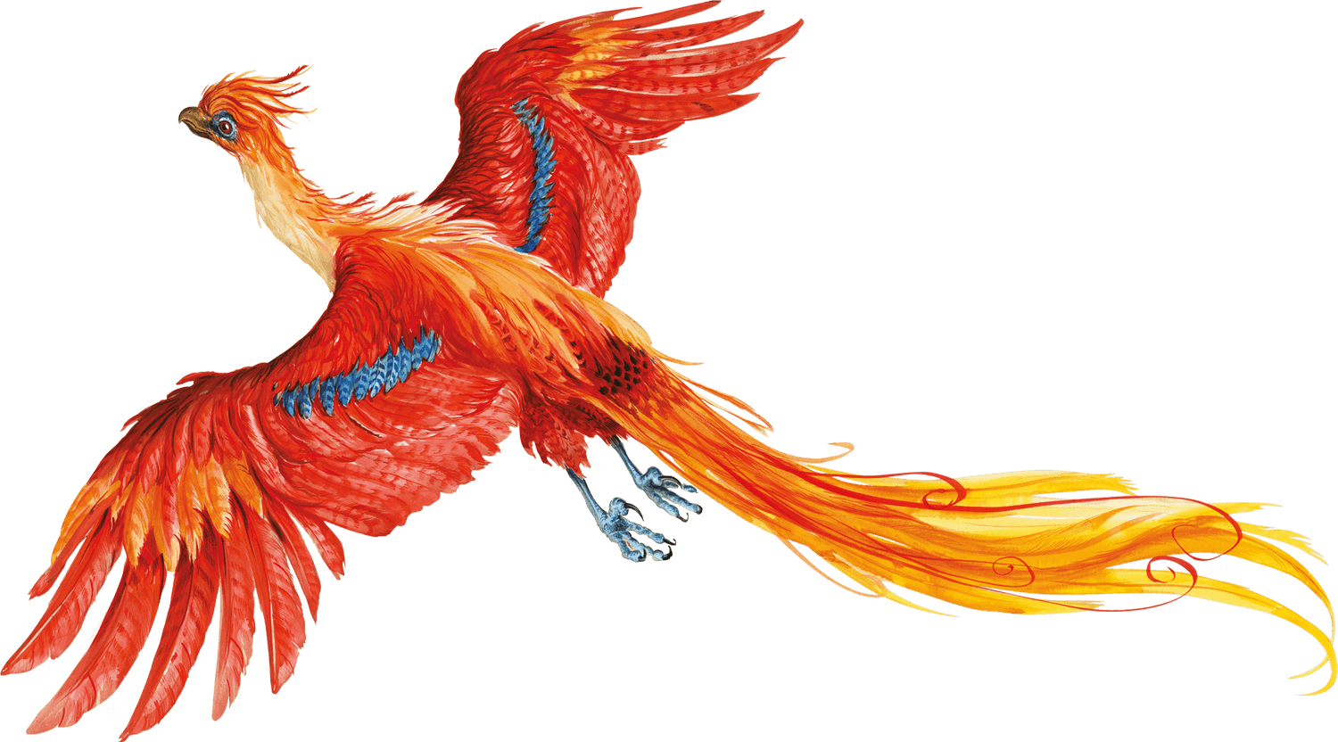 Harry Potter PNG No Background