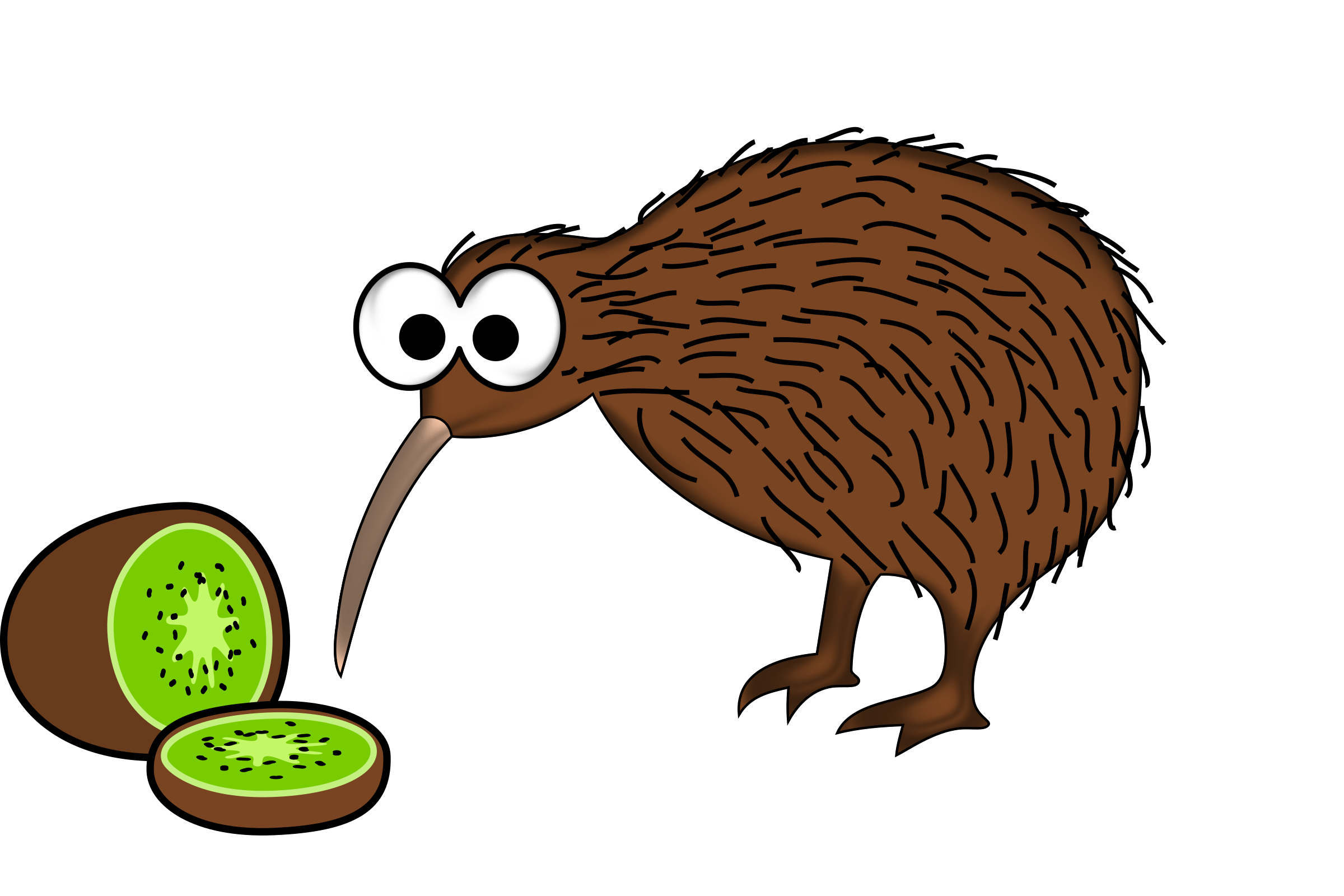 Kiwi Kuş PNG Clipart