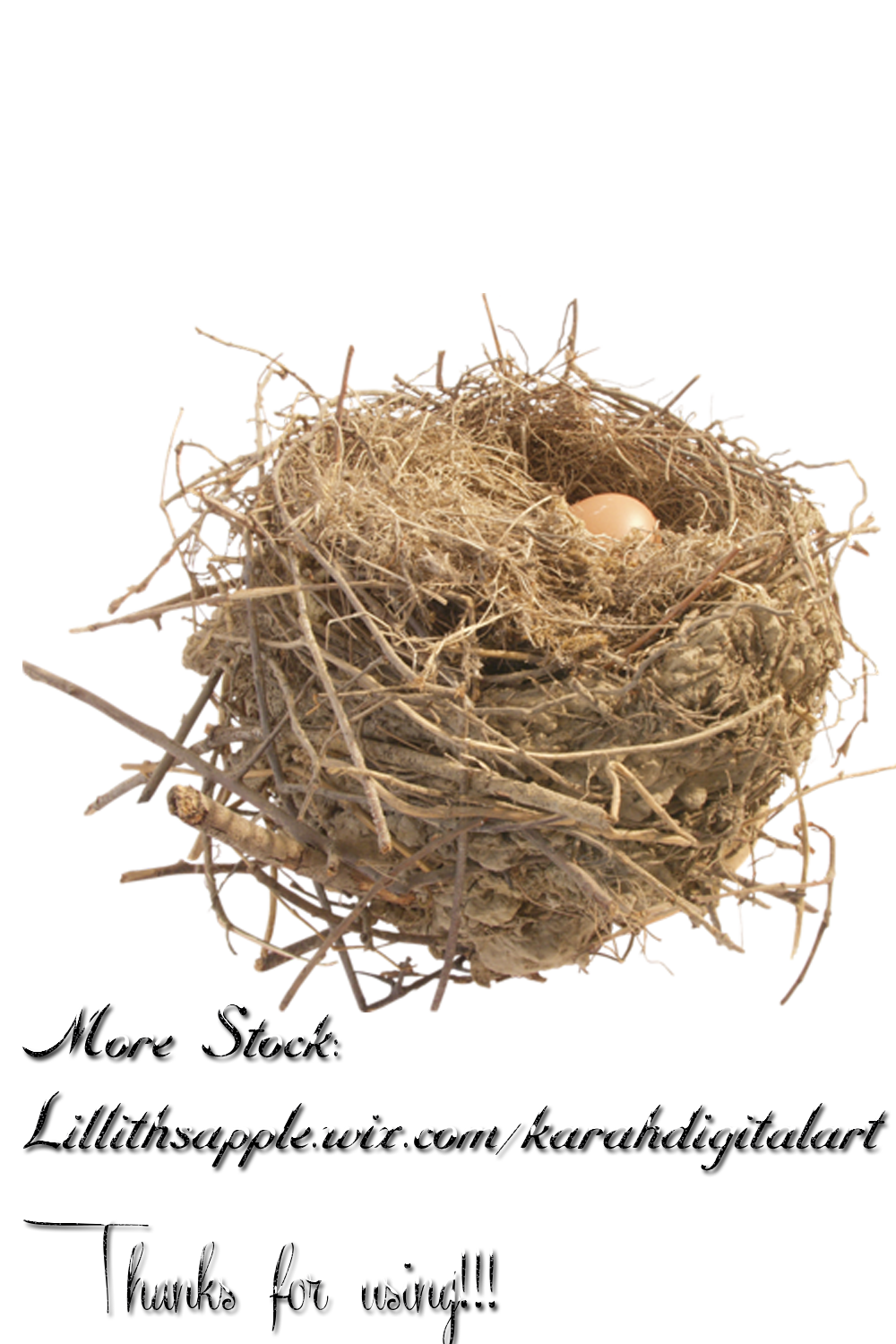 Nest PNG HD Quality