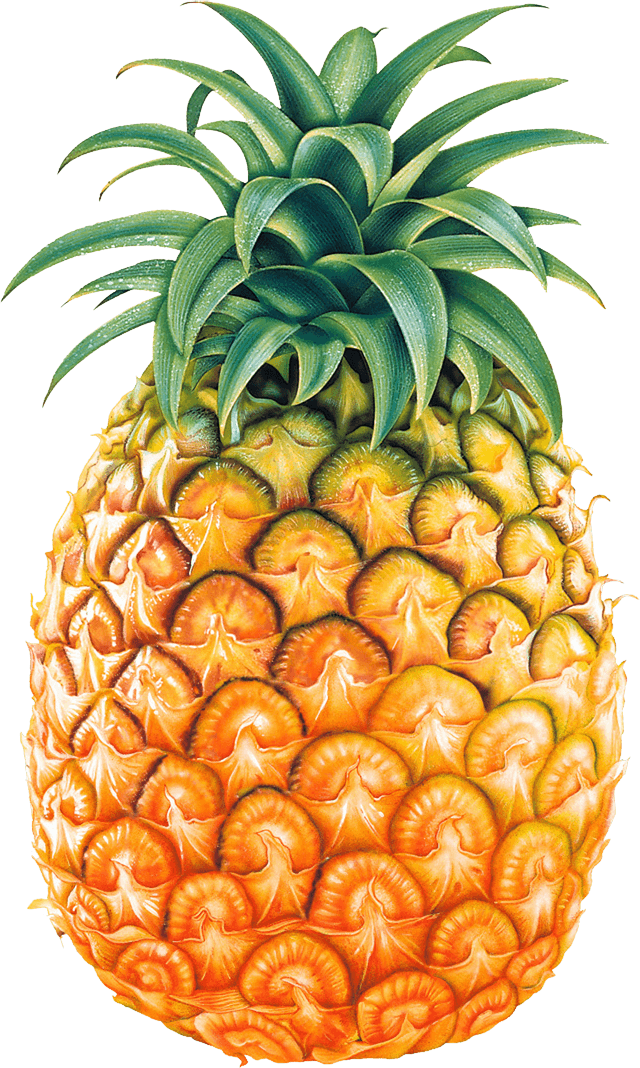 Ananas PNG Clipart arka plan
