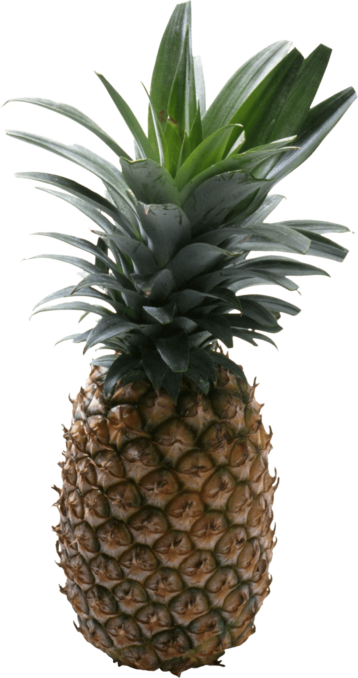 Pineapple PNG No Background