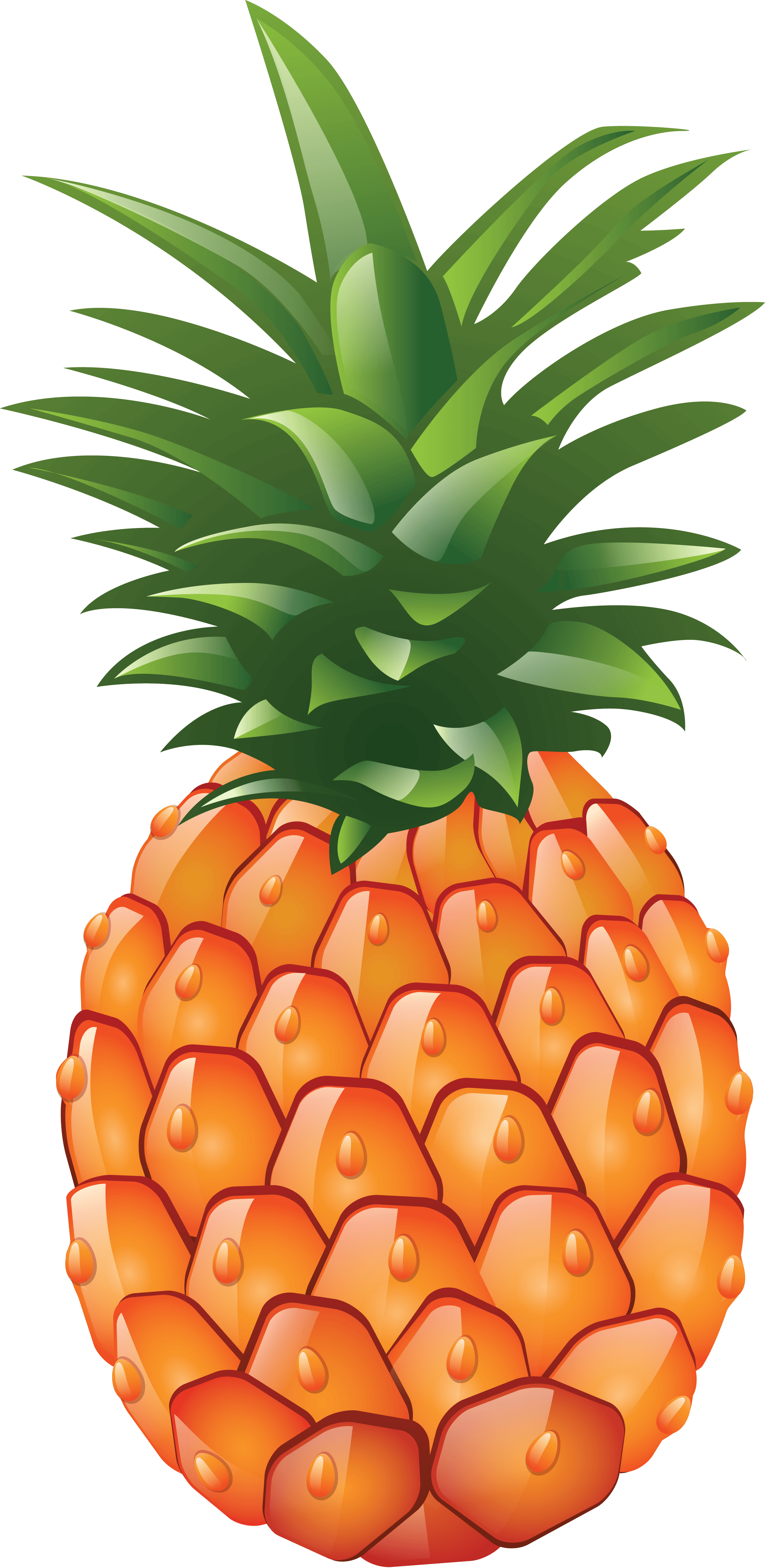 Pineapple PNG Photo Image