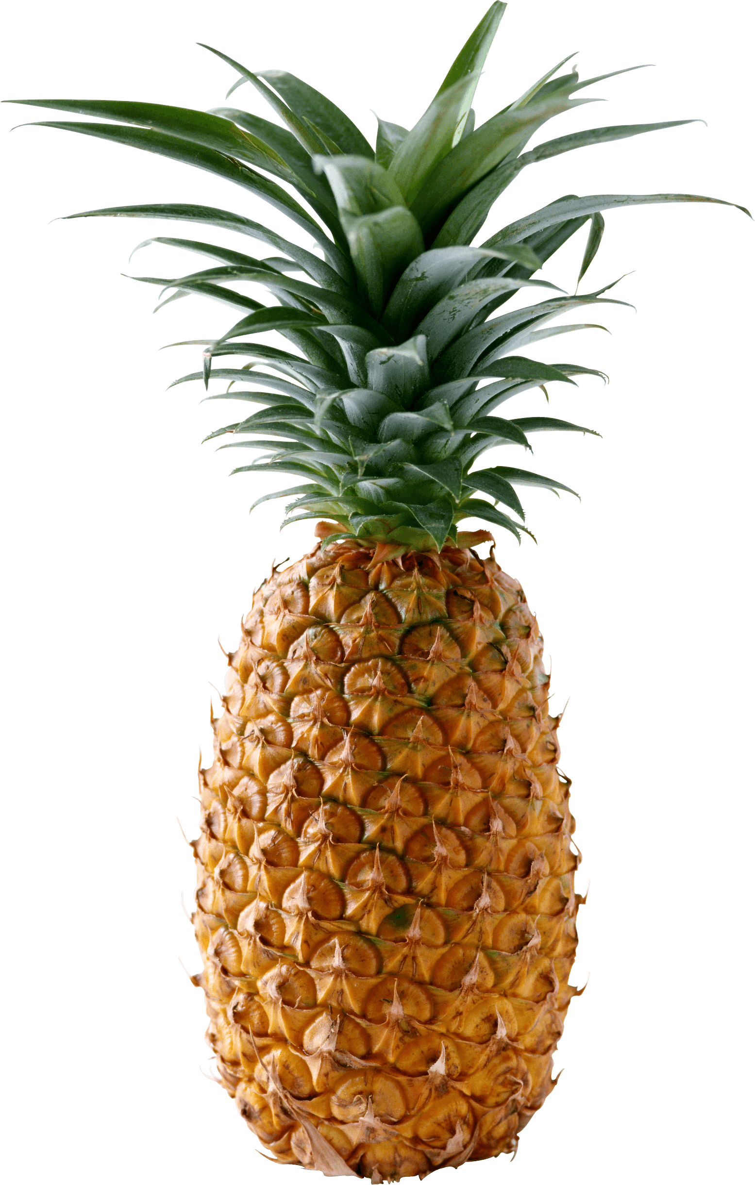 Pineapple PNG gambar Transparan