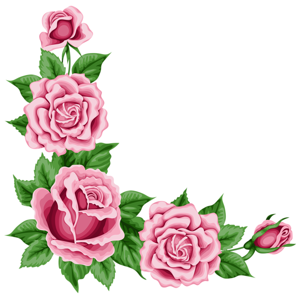 Romantische roze bloem grens Transparant PNG