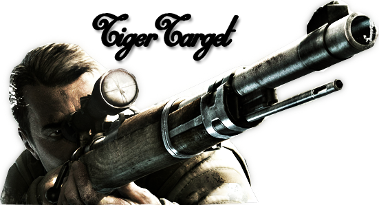 Sniper Elite PNG Image