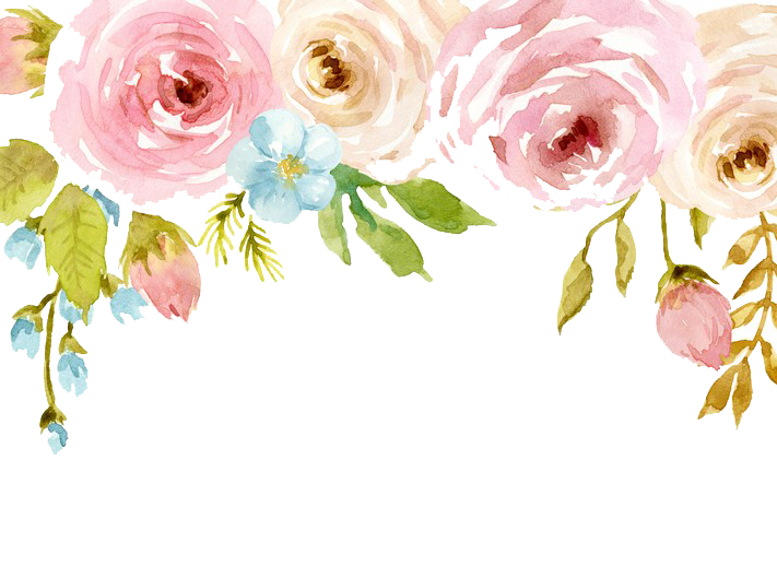 Watercolor Flowers PNG Background
