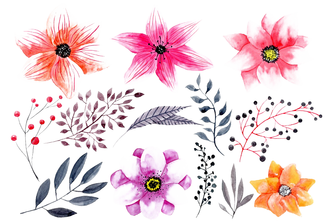 Watercolor Flowers PNG HD Photo