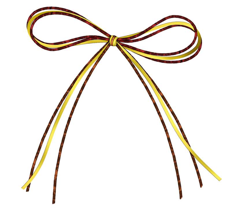 Shoelaces PNG Background Image