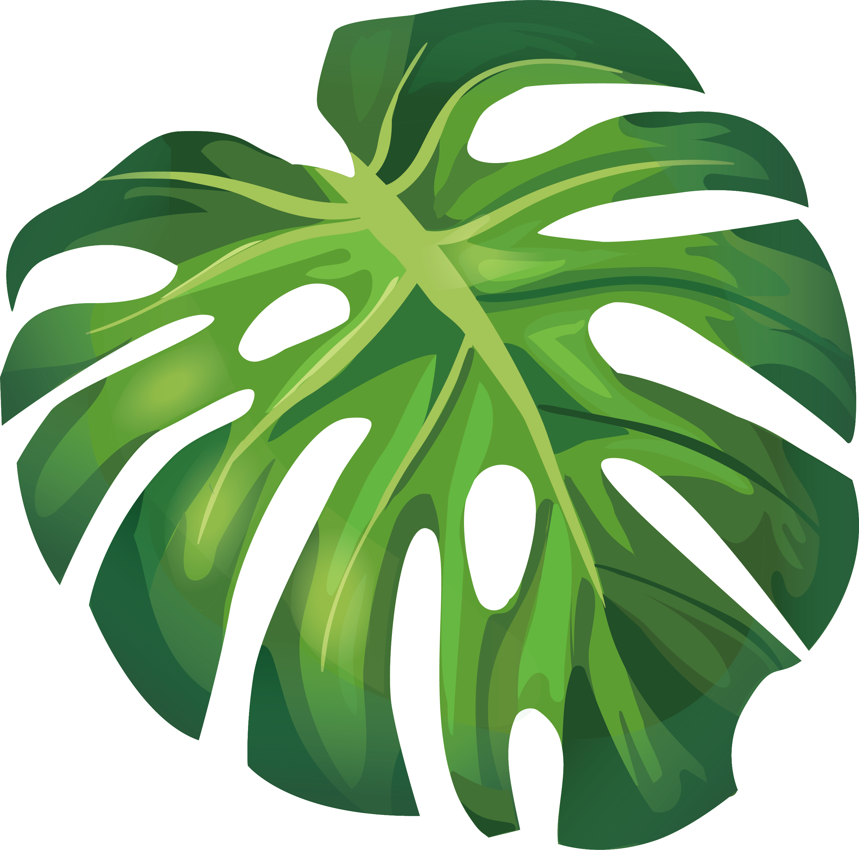 Aesthetic Leaf PNG Free Download