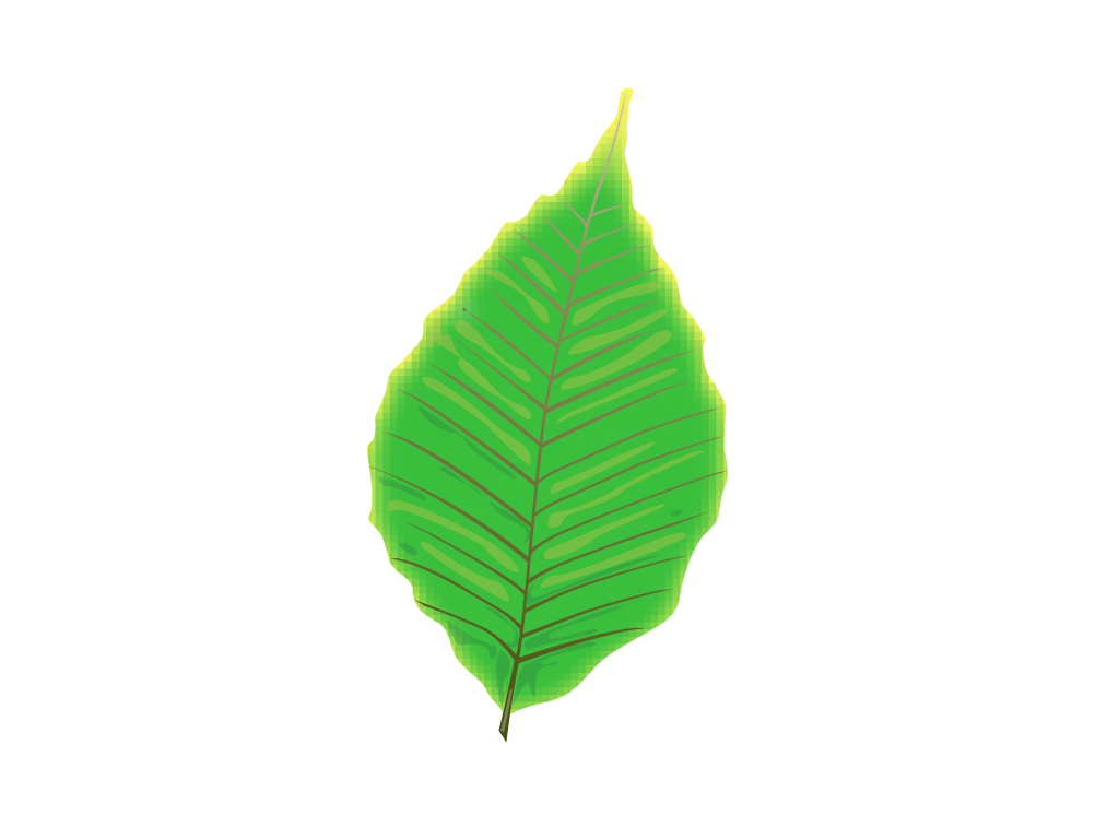 Aesthetic Leaf PNG Photo