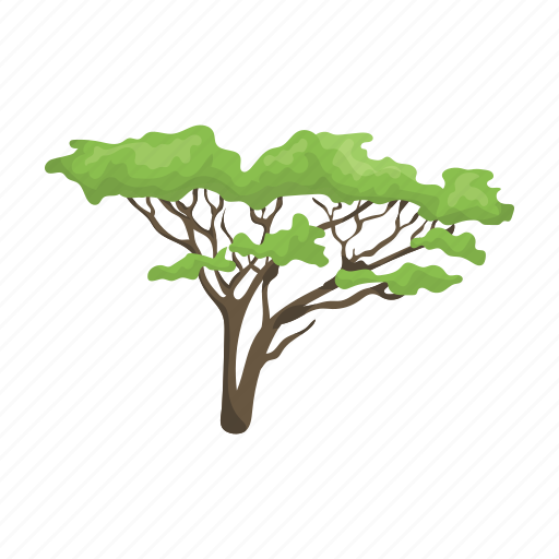 African Tree PNG Clipart