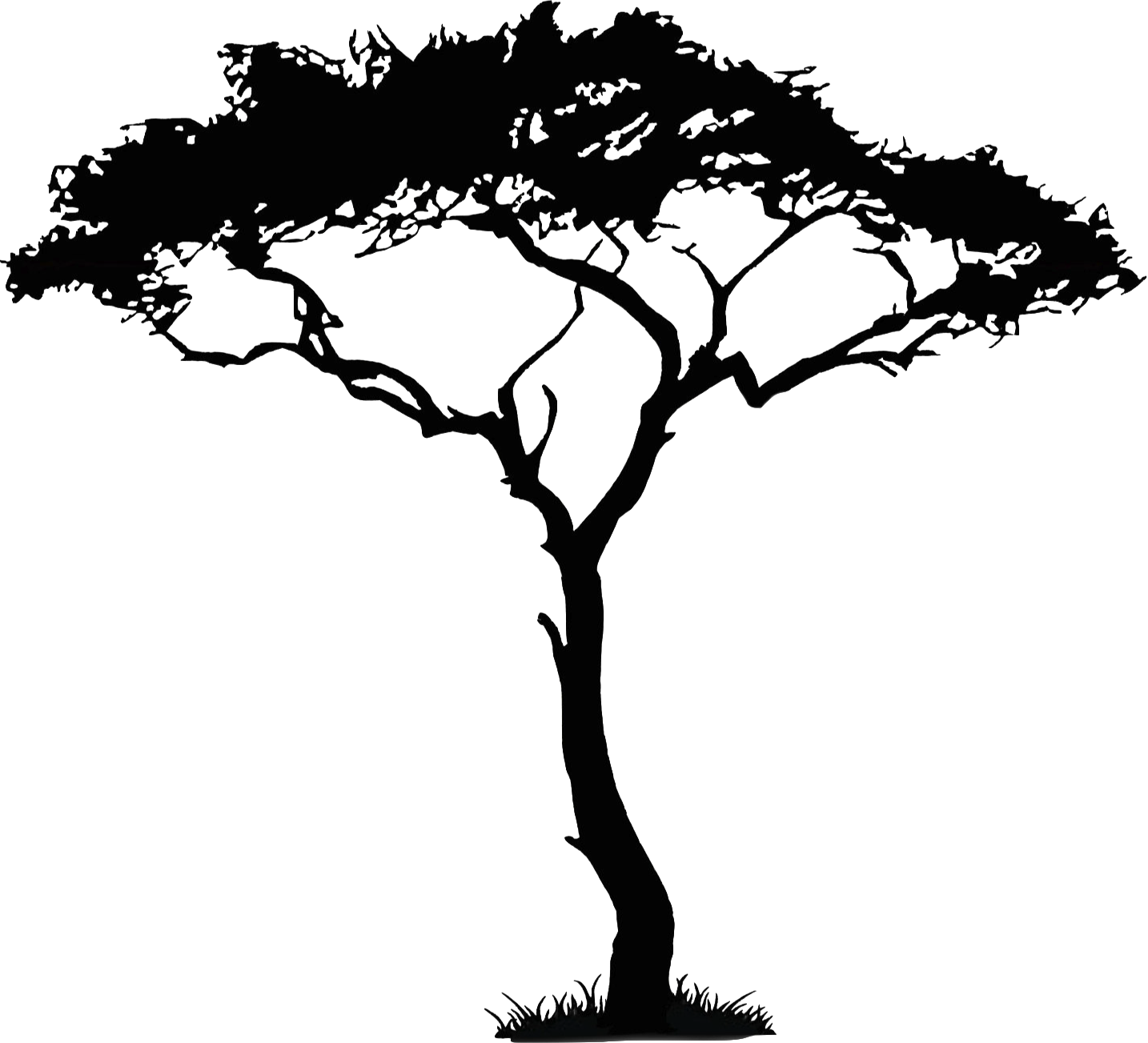 African Tree PNG