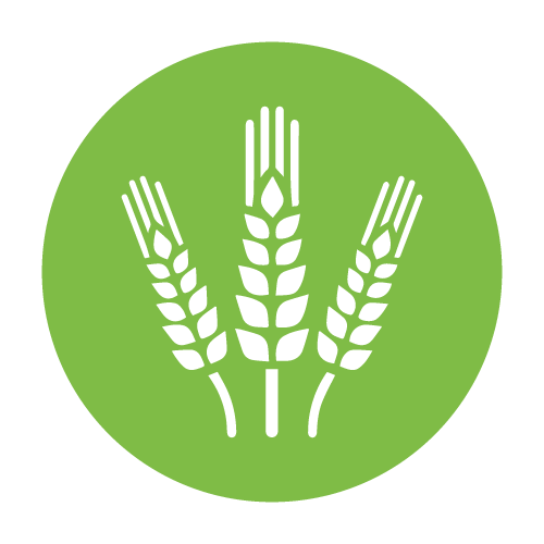 Agriculture PNG