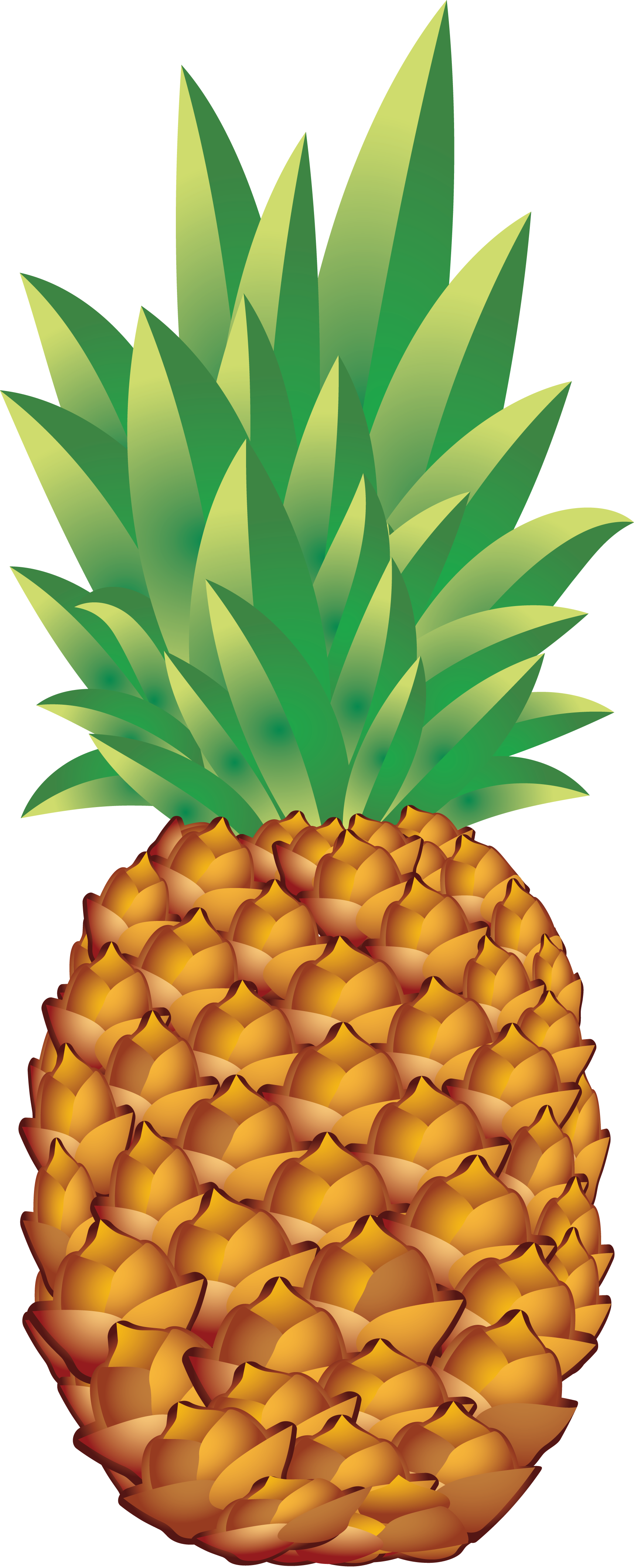 Ananas Download PNG Image