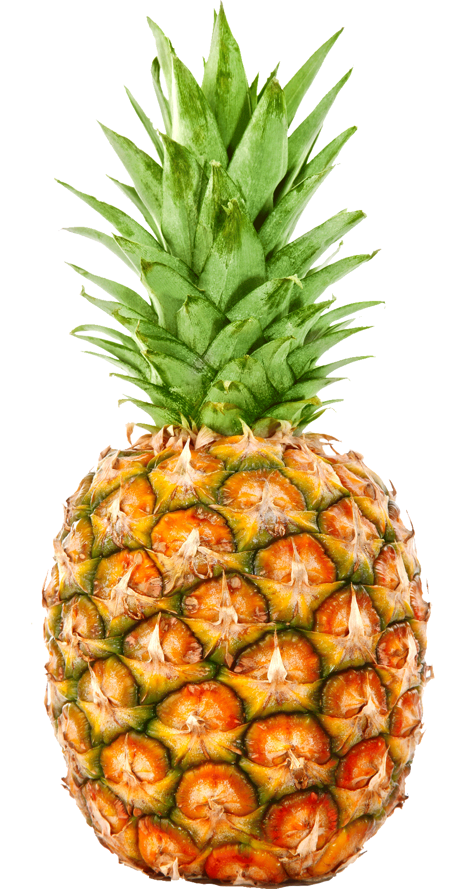 Ananas PNG HD