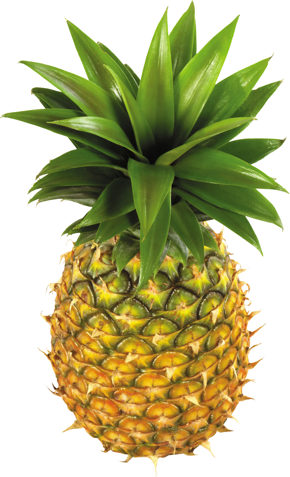 Ananas PNG Isolated Image