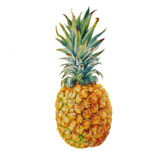Ananas PNG Isolated Photos