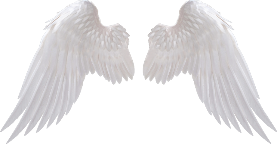 Angels Wing PNG Clipart