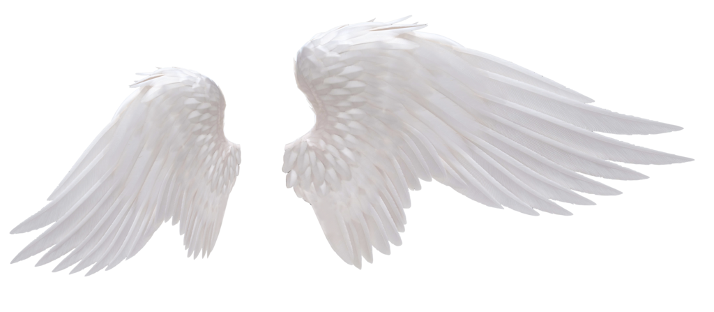 Angels Wing PNG File