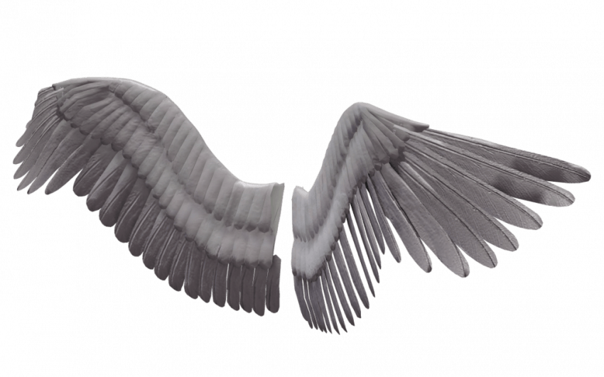 Angels Wing PNG Free Download