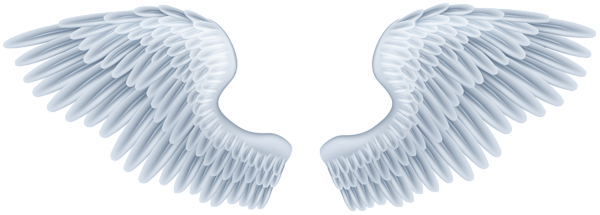 Angels Wing PNG Isolated File