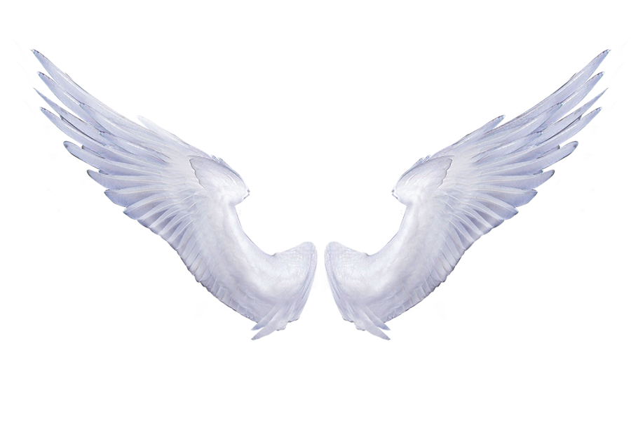 Angels Wing PNG Isolated Image