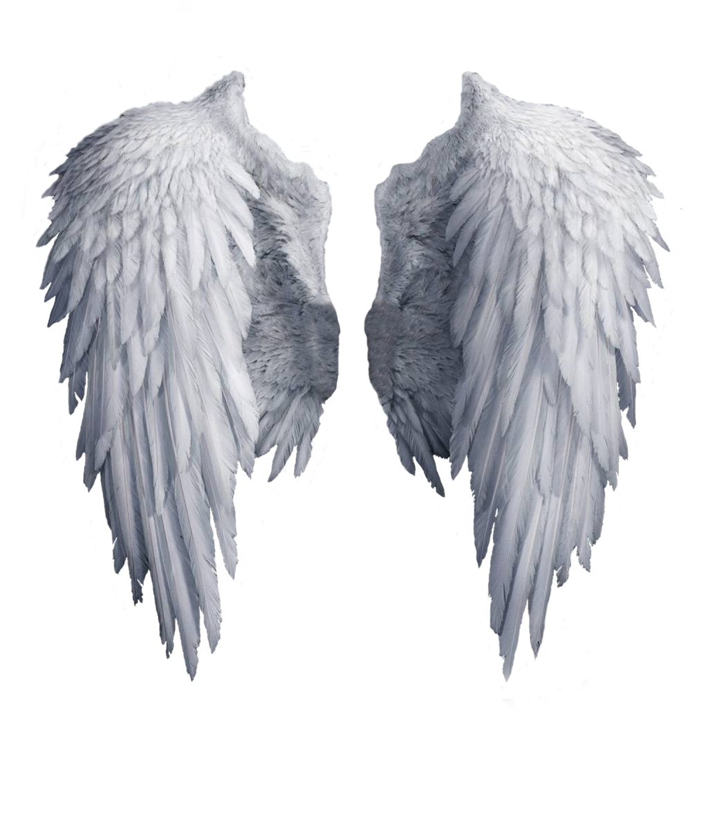 Angels Wing PNG Isolated Photo