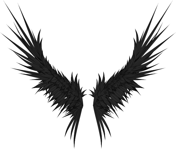 Angels Wing PNG Photo