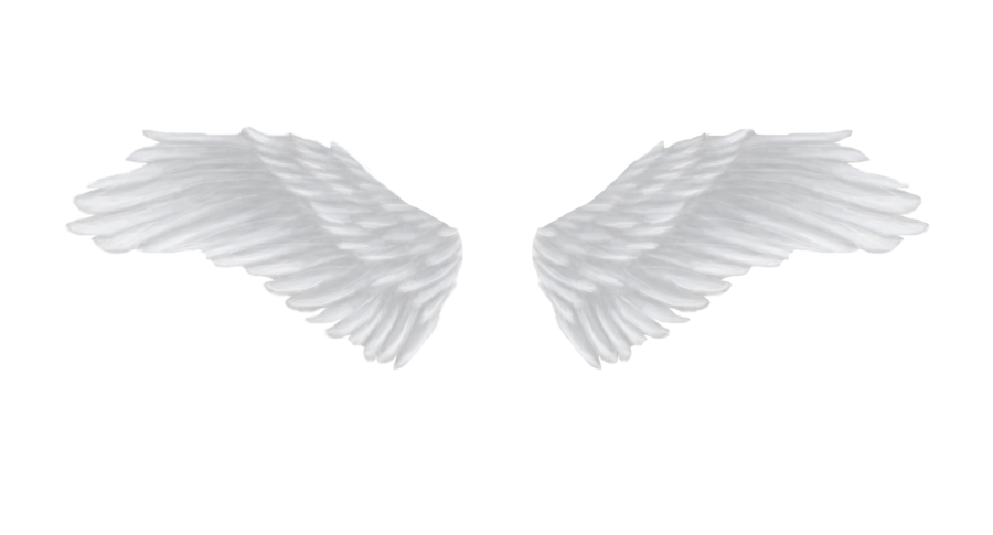 Angels Wing Transparent PNG