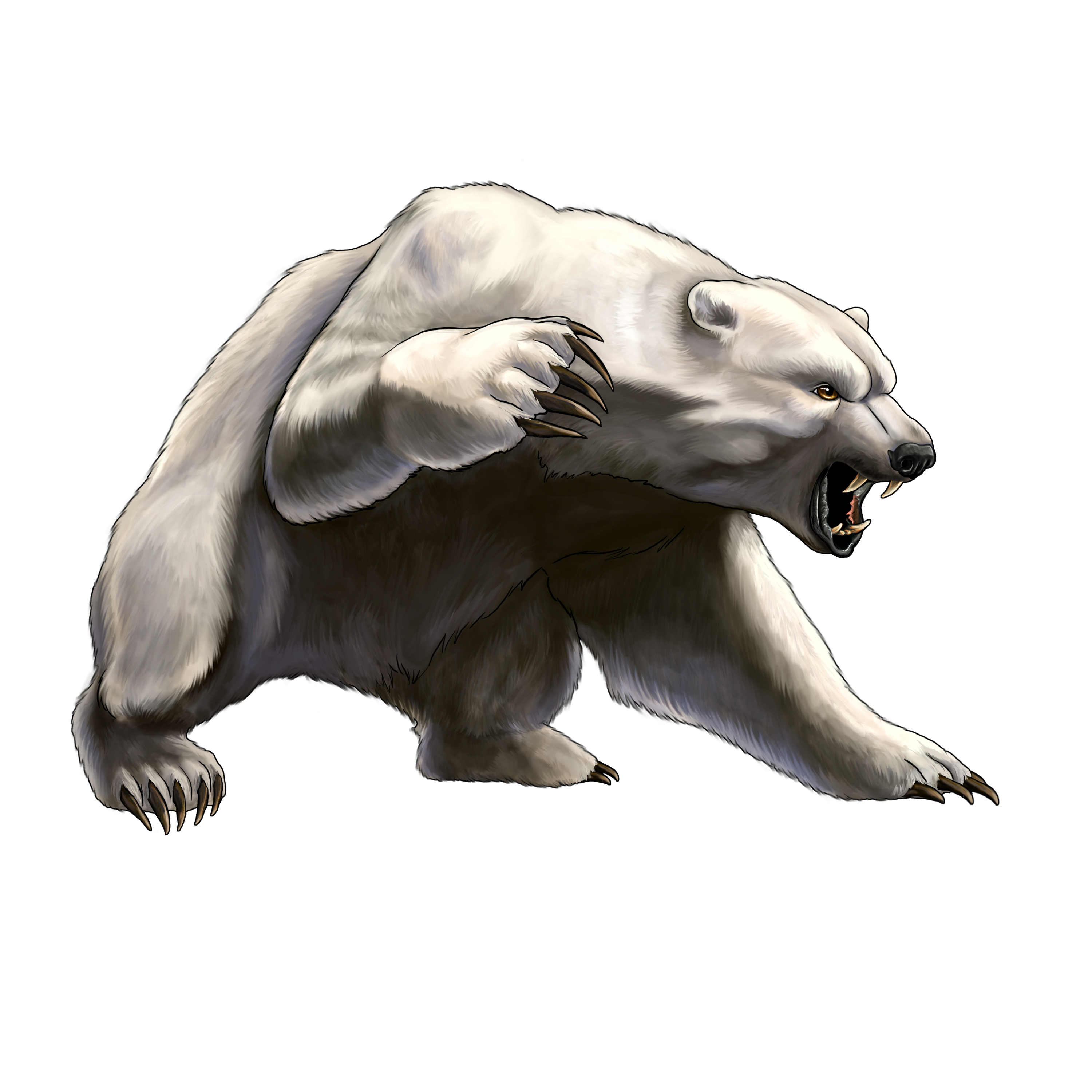 Angry Bear PNG Free Download