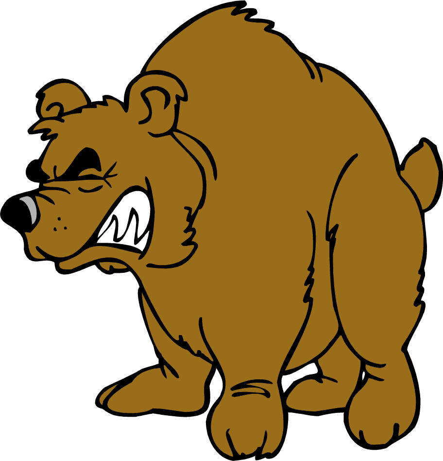 Angry Bear PNG Image