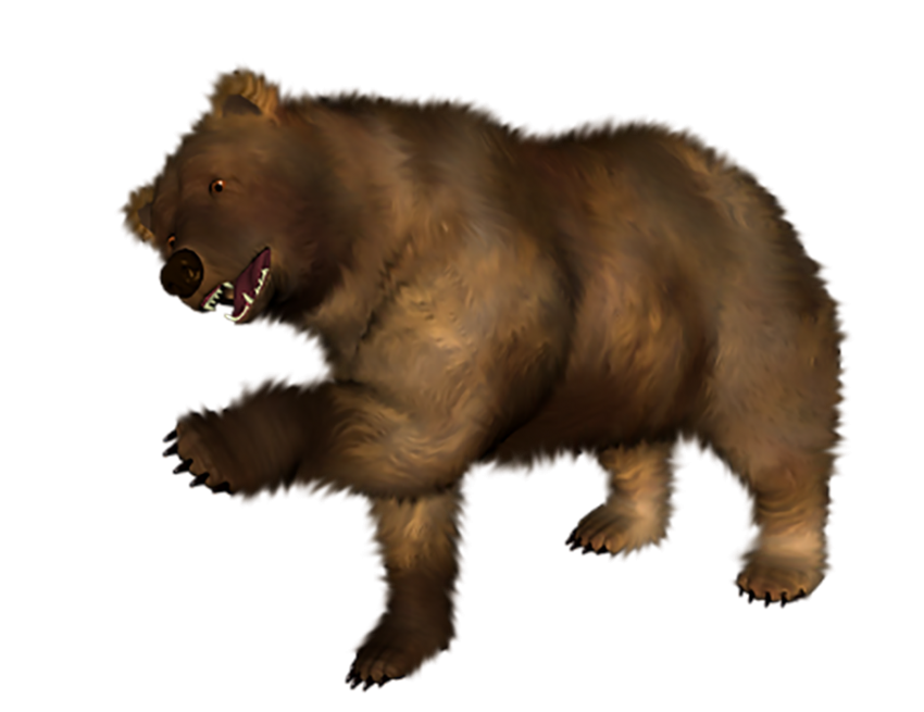 Angry Bear PNG Isolated HD