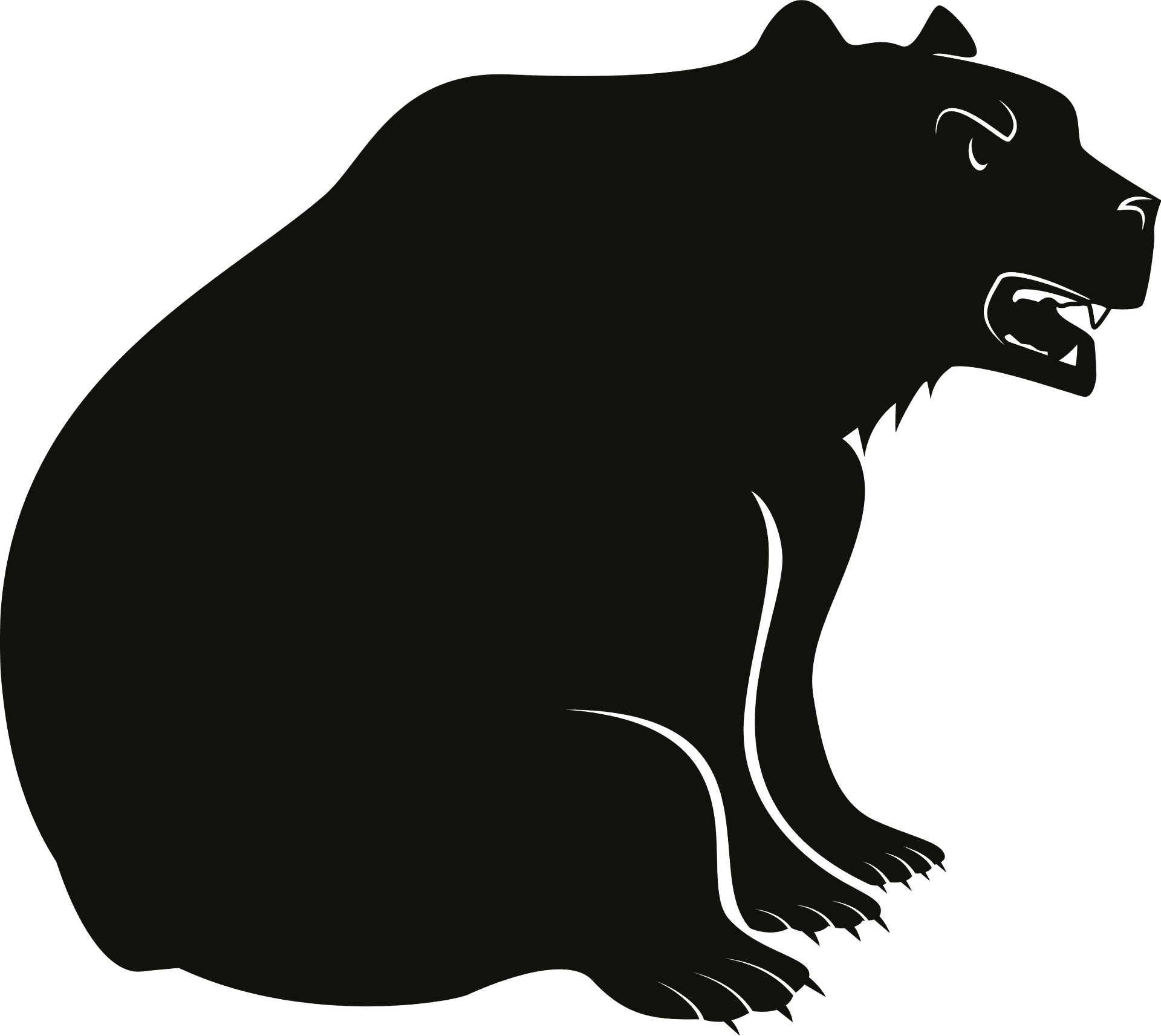 Angry Bear PNG Isolated Photo