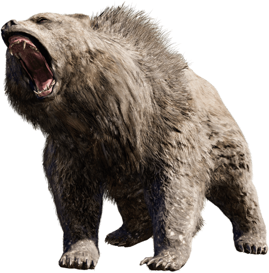 Angry Bear Transparent PNG